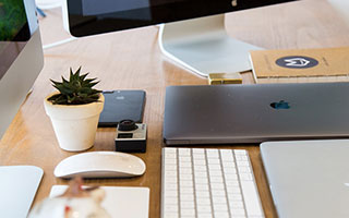 必赢入口：打开成长之门，成就可持续的成功之路